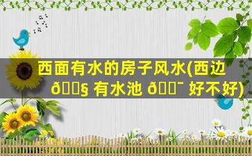 西面有水的房子风水(西边 🐧 有水池 🐯 好不好)